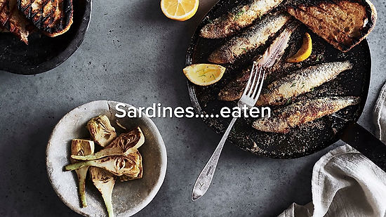 Sardines...